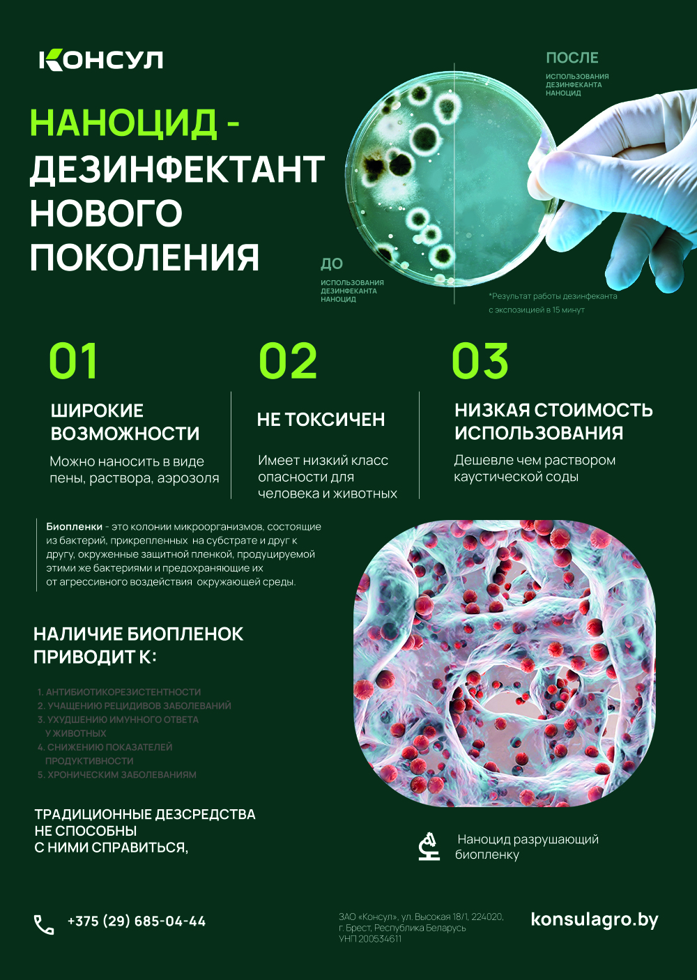 Наноцид - 2