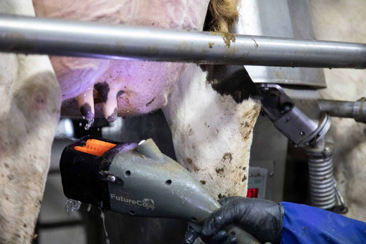 Щетка FutureCow - 1